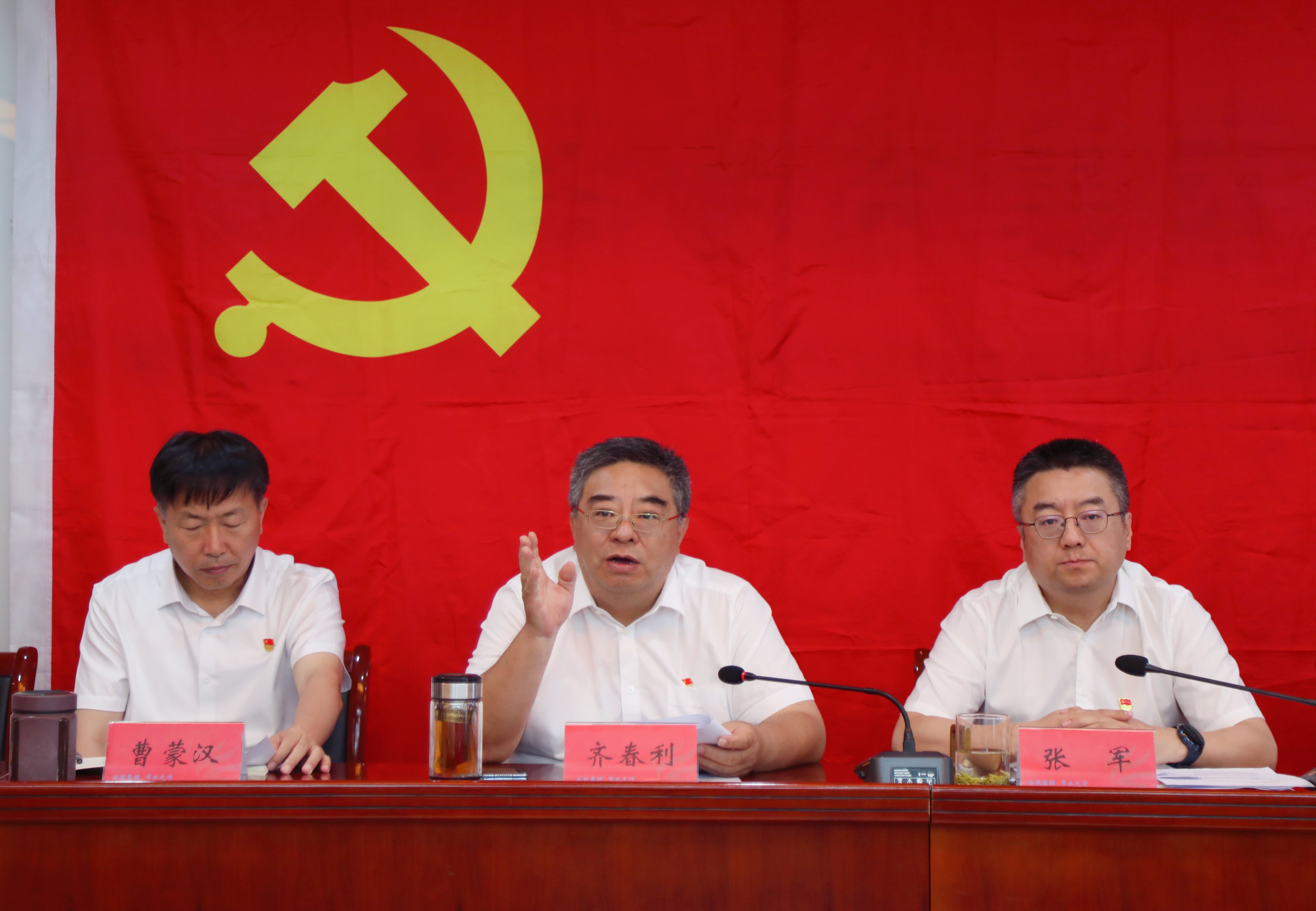 水投集团党委召开“两优一先”表彰大会